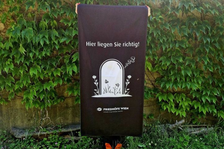 Baumwollhandtuch