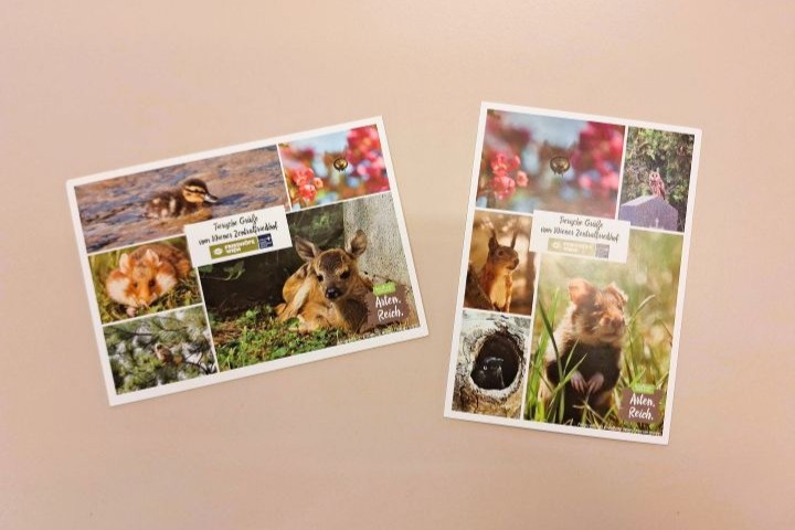 Postkarten Wiener Zentralfriedhof